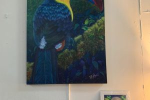 Tico gallery colorful tucan on canvas artwork in Atenas, Costa Rica