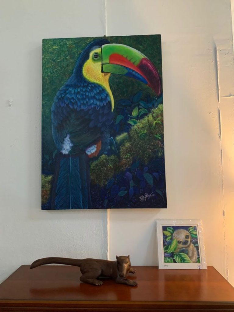 Tico gallery colorful tucan on canvas artwork in Atenas, Costa Rica